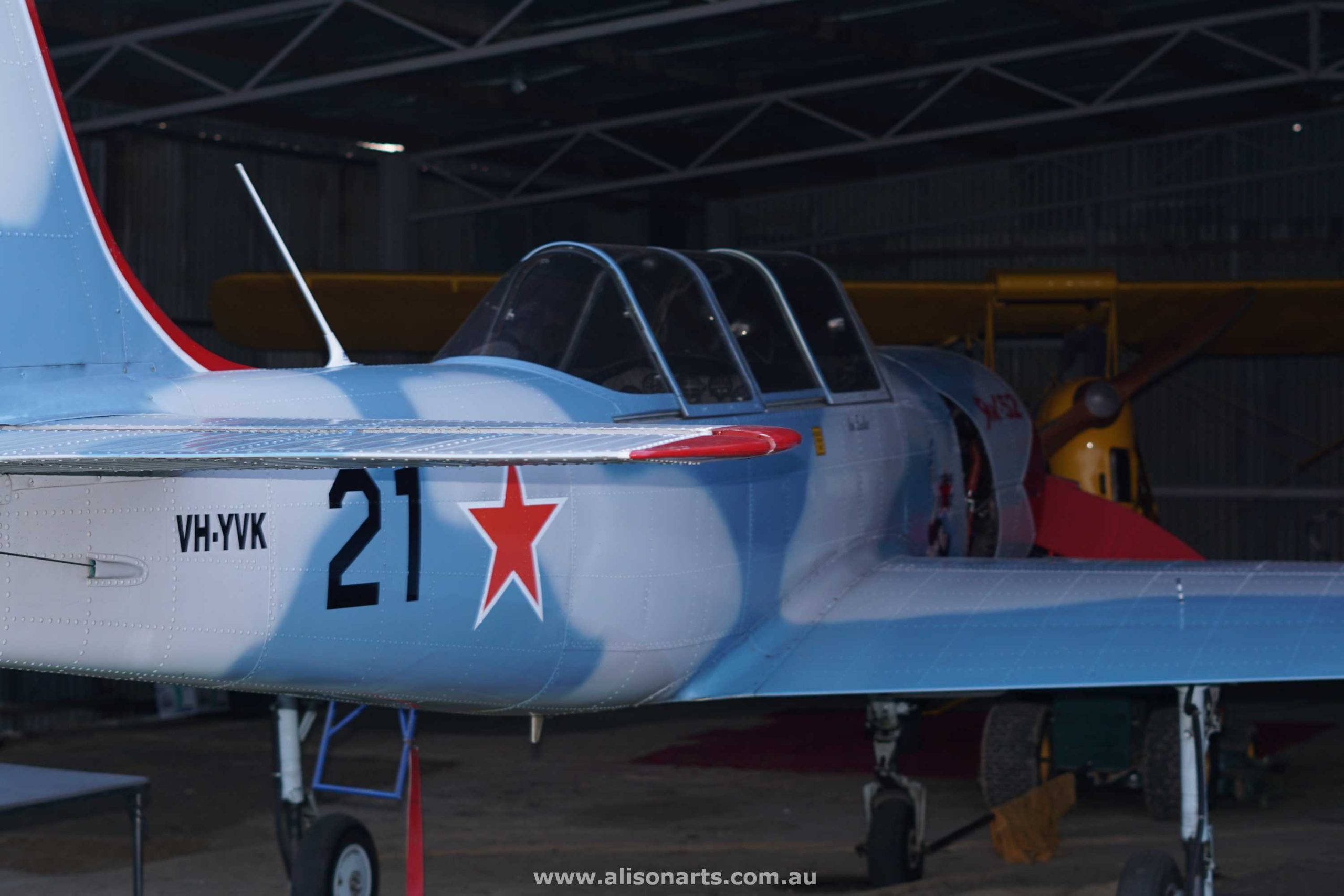 Custom airbrushed Yak-52 plane