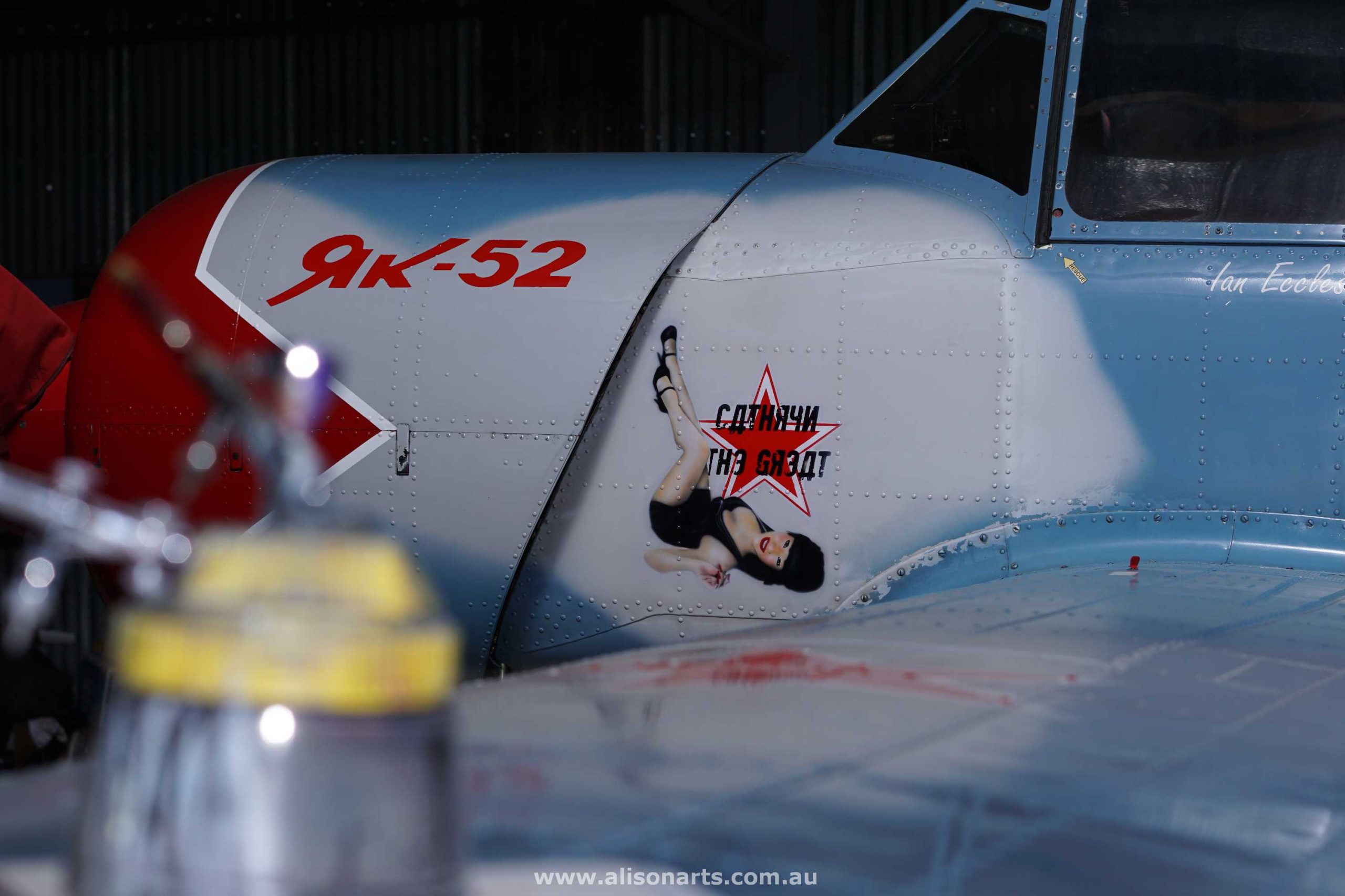 Custom airbrush painted Yak 52 aeroplane