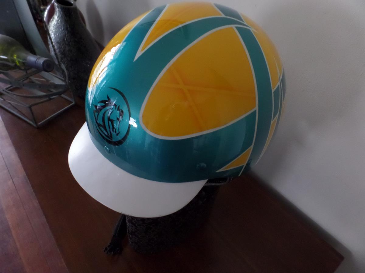 custom painted Harness racing helmet